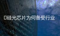 ?硅光芯片為何備受行業歡迎？