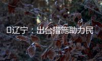 ?遼寧：出臺措施助力民營經濟發展