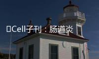 ?Cell子刊：腸道炎癥、感染的原因找到了
