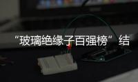 “玻璃絕緣子百強榜”結果揭曉！南京電氣絕緣子有限公司榮膺榜首！