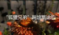 “狐貍兄弟”踢館旅途的花樣 與華晨宇林志玲pk“雙簧”