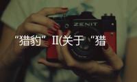 “獵豹”II(關(guān)于“獵豹”II簡(jiǎn)述)