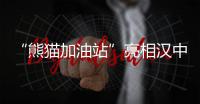 “熊貓加油站”亮相漢中佛坪