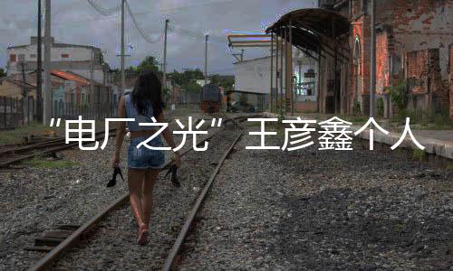 “電廠之光”王彥鑫個人演唱會(關于“電廠之光”王彥鑫個人演唱會簡述)