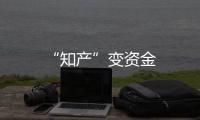 “知產”變資金