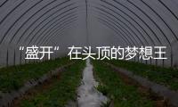 “盛開”在頭頂的夢想王國