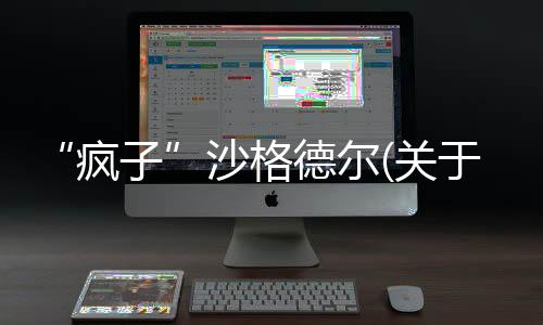 “瘋子”沙格德爾(關(guān)于“瘋子”沙格德爾簡述)
