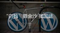 “白鶴”舞金沙 我國建成世界最大“清潔能源走廊”