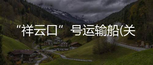 “祥云口”號運輸船(關于“祥云口”號運輸船簡述)