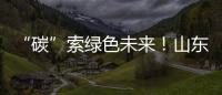 “碳”索綠色未來！山東提速五大清潔能源基地建設(shè)