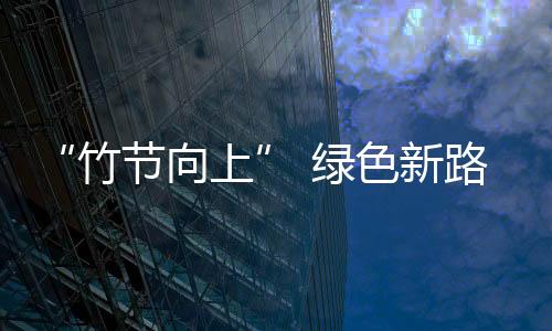 “竹節向上” 綠色新路——霍山縣“以竹代塑”加快竹產業高質量發展