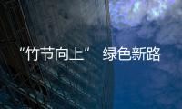 “竹節向上” 綠色新路——霍山縣“以竹代塑”加快竹產業高質量發展