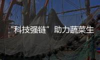 “科技強鏈”助力蔬菜生產 去年安徽蔬菜產業產值超1700億元_