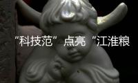 “科技范”點亮“江淮糧倉”