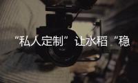 “私人定制”讓水稻“穩(wěn)穩(wěn)地成熟” 百姓“吃得飽”更“吃得好”