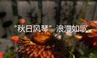 “秋日風琴”浪漫如歌