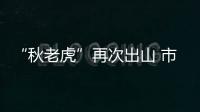 “秋老虎”再次出山 市場(chǎng)交割繼續(xù)看好