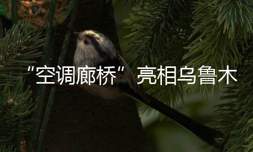 “空調廊橋”亮相烏魯木齊國際機場