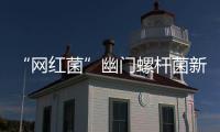 “網紅菌”幽門螺桿菌新“罪證”再曝光！竟能削弱腫瘤免疫治療