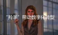 “羚羊”帶動數字化轉型步伐加快