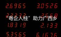 “粵企入桂”助力廣西鄉村振興現場推進會簽約49.48億元