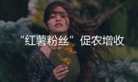 “紅薯粉絲”促農增收