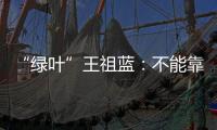 “綠葉”王祖藍：不能靠臉 靠能力才能活下來