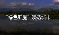 “綠色細胞”浸透城市，學校、社區、商場都做到了哪些？