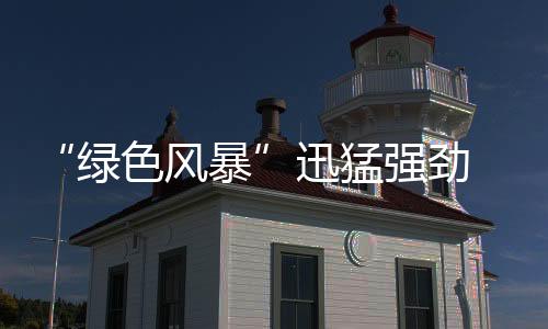 “綠色風暴”迅猛強勁 催生板材企業實施綠色營銷