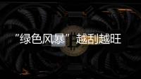 “綠色風暴”越刮越旺 木門企業需將環保落到實處