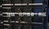 “綠軸”花開報春！系靚哦