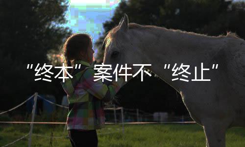“終本”案件不“終止” 執行到底解民憂_