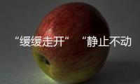 “緩緩走開(kāi)”“靜止不動(dòng)”……白宮回應(yīng)拜登健康狀況