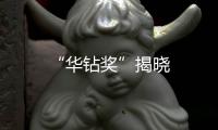 “華鉆獎(jiǎng)”揭曉