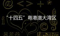 “十四五”粵港澳大灣區首個抽蓄工程實現“投產即入市”