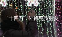 “十四五”外貿高質量發展路線明確：努力實現五大目標