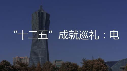 “十二五”成就巡禮：電子信息百強企業龍頭作用凸顯