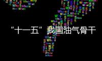 “十一五”我國油氣骨干管網初步建成