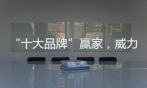 “十大品牌”贏家，威力成為行業(yè)中樞引擎