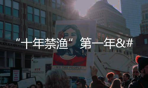 “十年禁漁”第一年 長(zhǎng)江流域禁捕工作進(jìn)展如何？