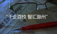 “千企百校 智匯滁州”線上首場校園招聘會舉辦_