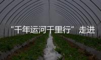 “千年運河千里行”走進臺兒莊：因河而“新”的歷史古城