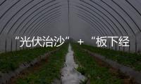 “光伏治沙”+“板下經濟” 內蒙古多措并舉筑牢北方重要生態安全屏障