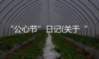 “公心節(jié)”日記(關(guān)于“公心節(jié)”日記簡述)