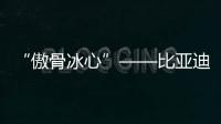 “傲骨冰心”——比亞迪叉車在冷鏈行業“凌寒飄香”！