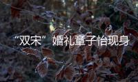 “雙宋”婚禮章子怡現身 大方任拍氣場十足