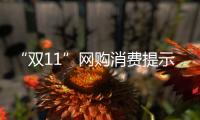 “雙11”網(wǎng)購消費提示！中消協(xié)：“退款鏈接”都是騙人的