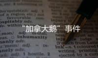 “加拿大鵝”事件