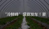 “冷鮮峰”盛夏發車！豪沃重卡夏日冷鏈盛宴燃爆鄭州