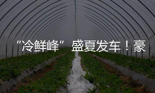 “冷鮮峰”盛夏發車！豪沃重卡夏日冷鏈盛宴燃爆鄭州